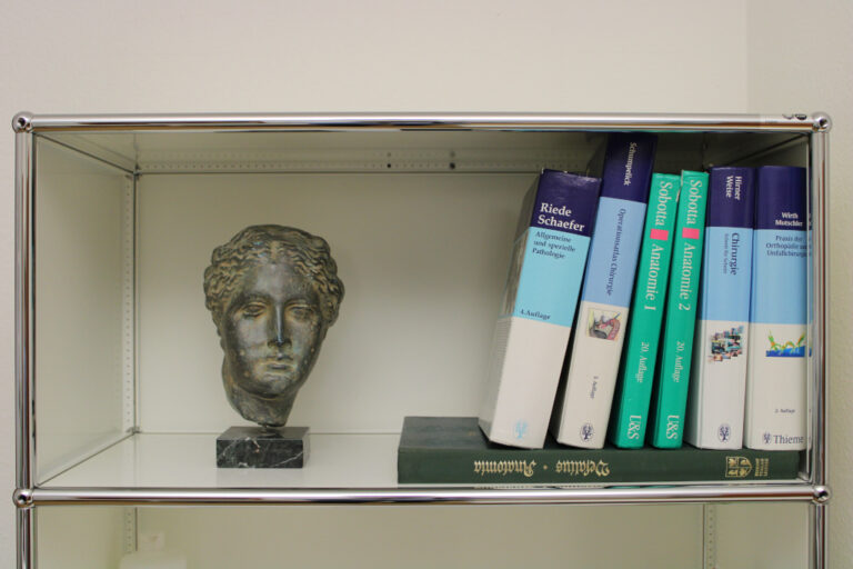 Bronzebüste eines antiken Kopfes auf einem Regal neben mehreren Lehrbüchern in verschiedenen Farben.